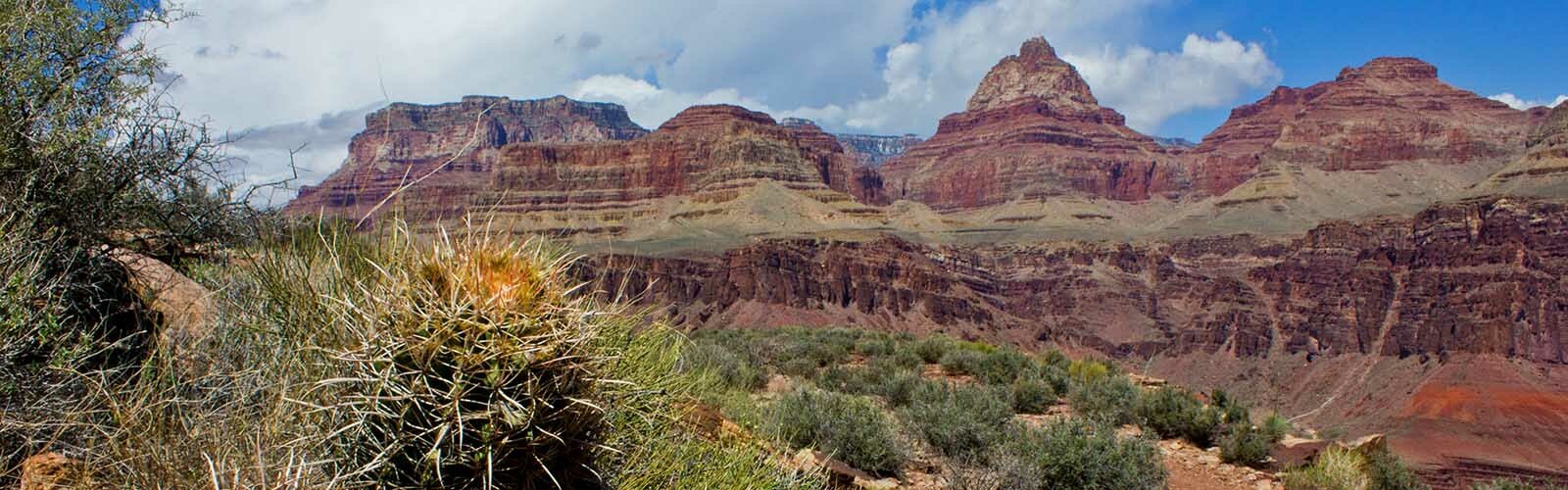 Grand Canyon Conservancy - Wildland Trekking