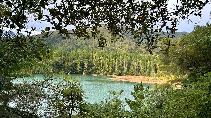 Nydia Bay