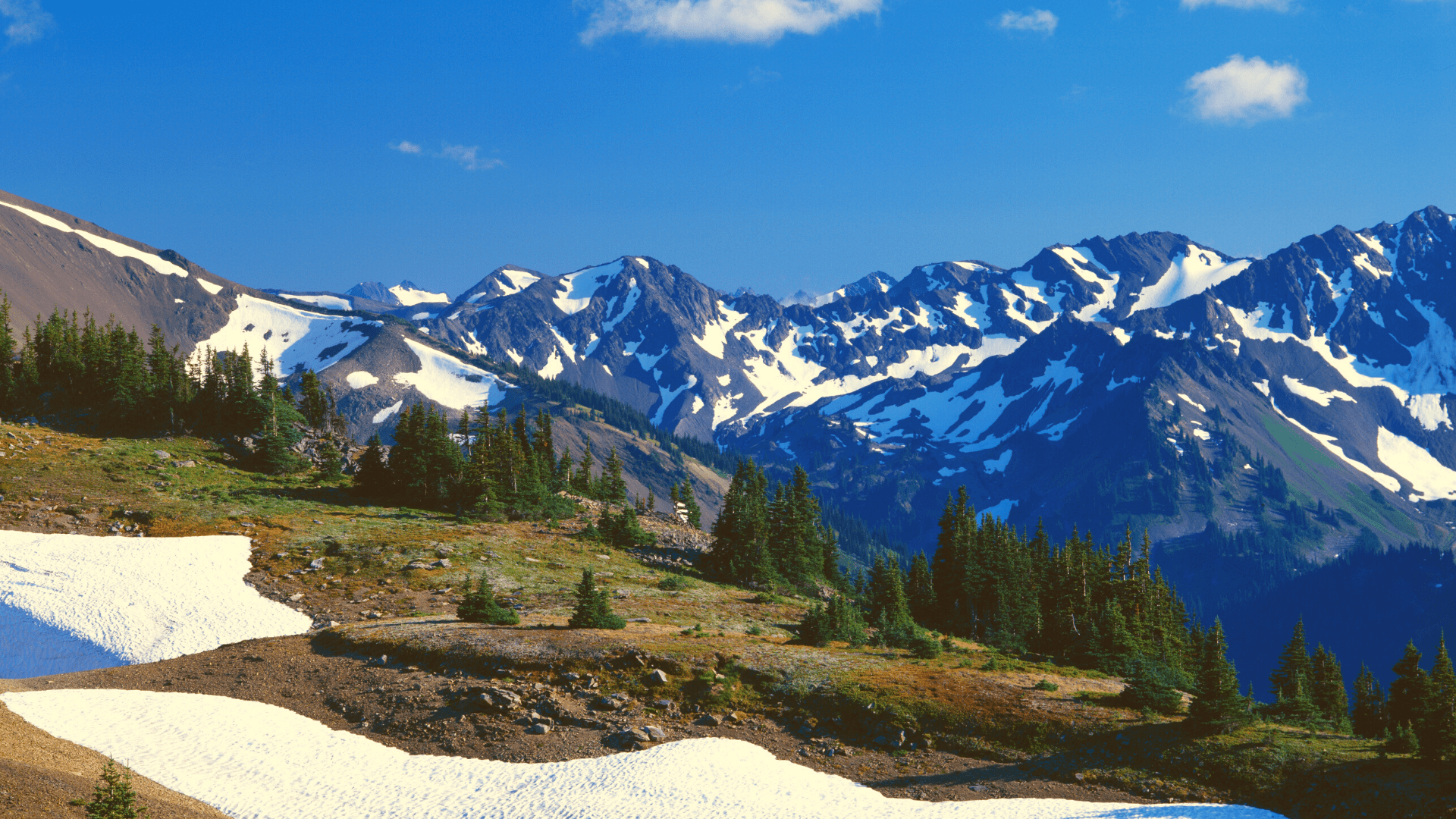 Mount Olympus, Olympic National Park, Washington State