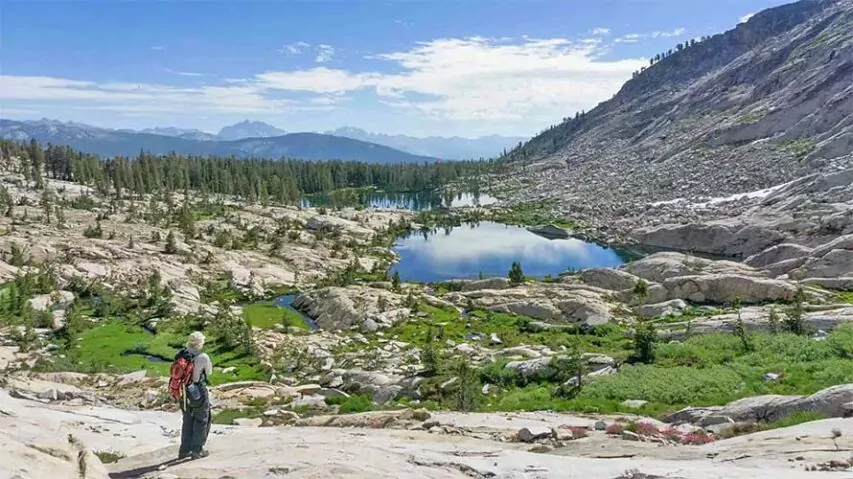 Adesivo Ansel Adams Wilderness Inyo National Forest - Decalcomania 3x4 Pollici USA