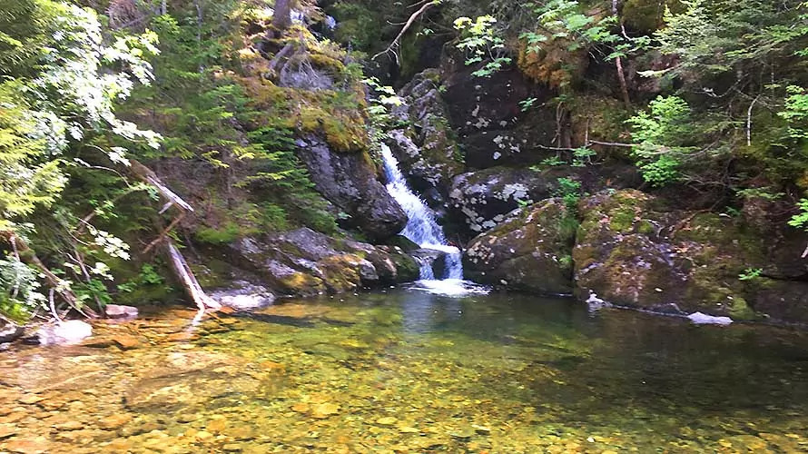 Waterfall and pond in New Hampshire's White Mountains