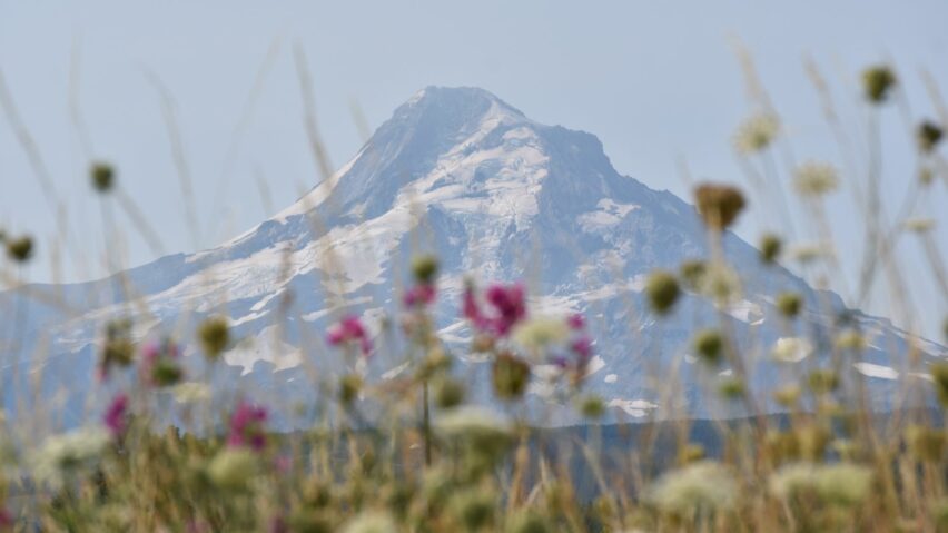 Mount hood oregon