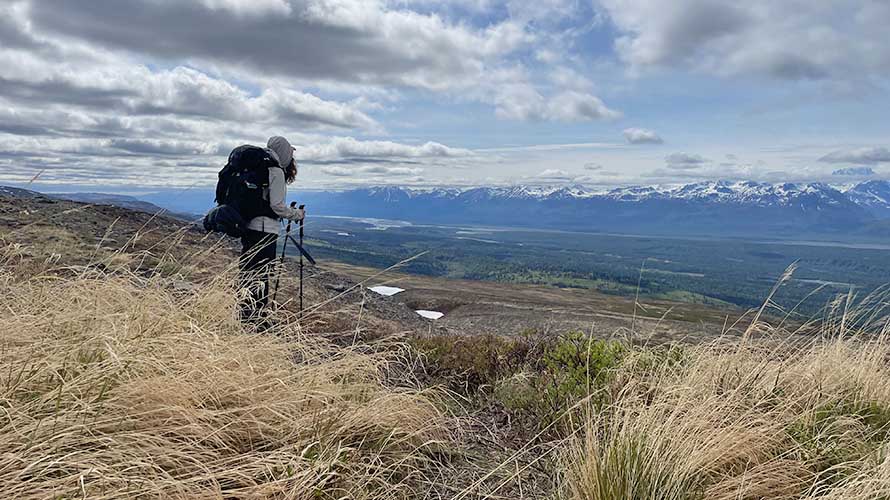 Female backpacker on K'esugi Ridge in Denali State Park, Alaska