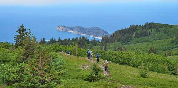 Wildland Trekking group hiking with views of the ocean in Kenai