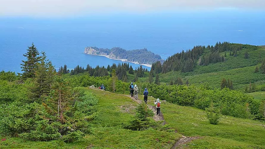 Wildland Trekking group hiking with views of the ocean in Kenai