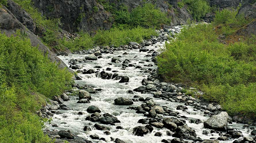 Alaska. Mountains and forests.