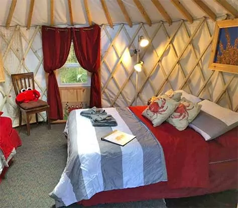 Nauti Otter Yurt Village in Alaska