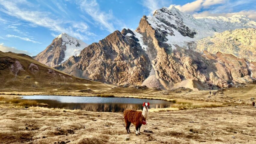 Rainbow mountain peru llama trek