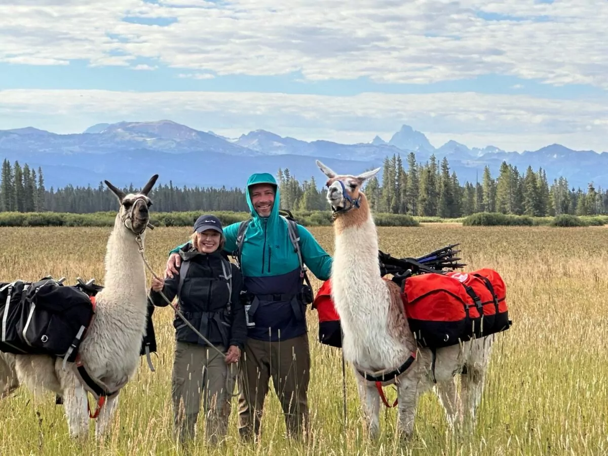Llama packing Yellowstone