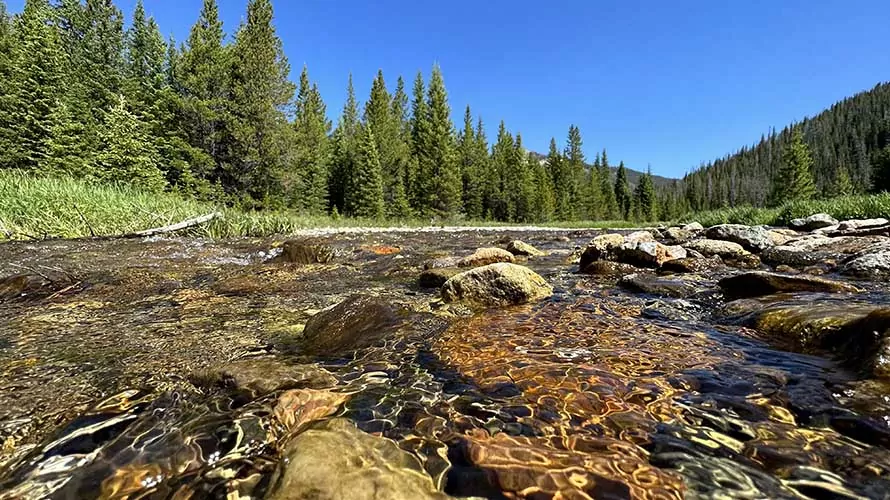 Majestic trout stream in Rocky Mountain National Park