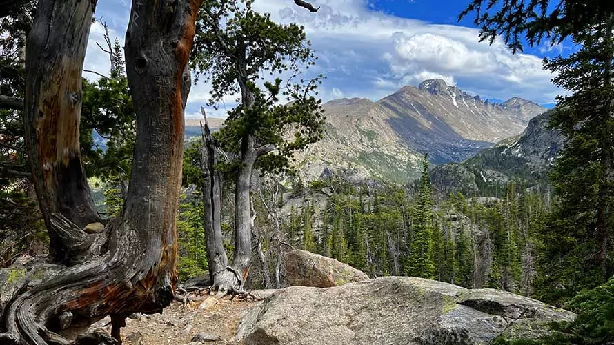 View of alpine peaks in Rocky Mountain National Park