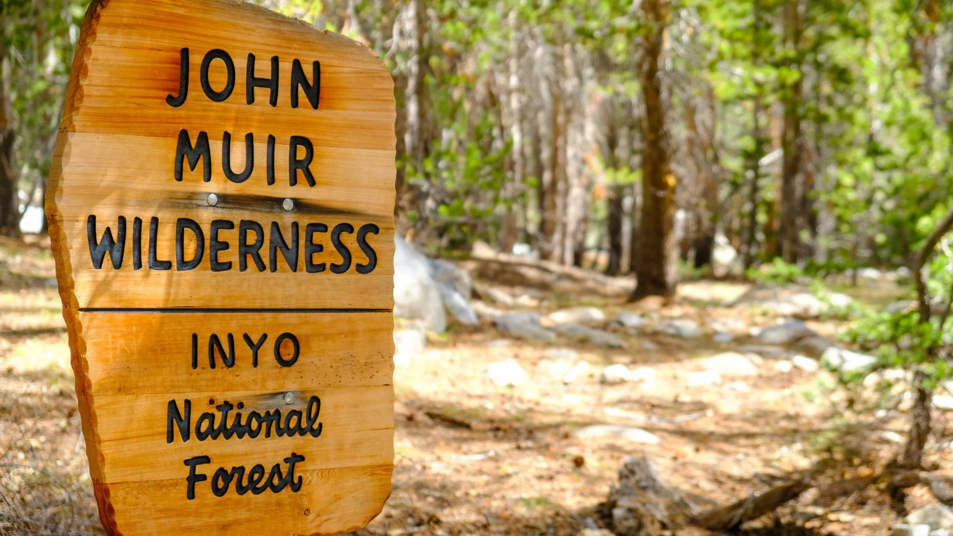 A wilderness sign stands along the side of the John Muir trail in California's Sierra Nevada