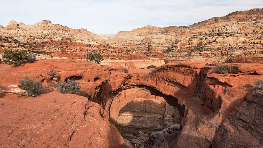 Cassidy Arch is above the Grand Wash located within Capital Reef National Park, Utah.
