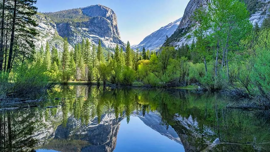 Iconic Yosemite Day Tour - Wildland Trekking