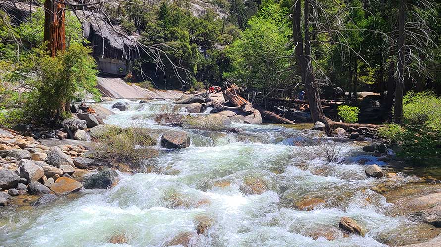 Tumbling mountain creek in Yosemite National Park