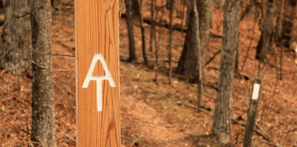 Appalachian trail sign in forest full of fall colors