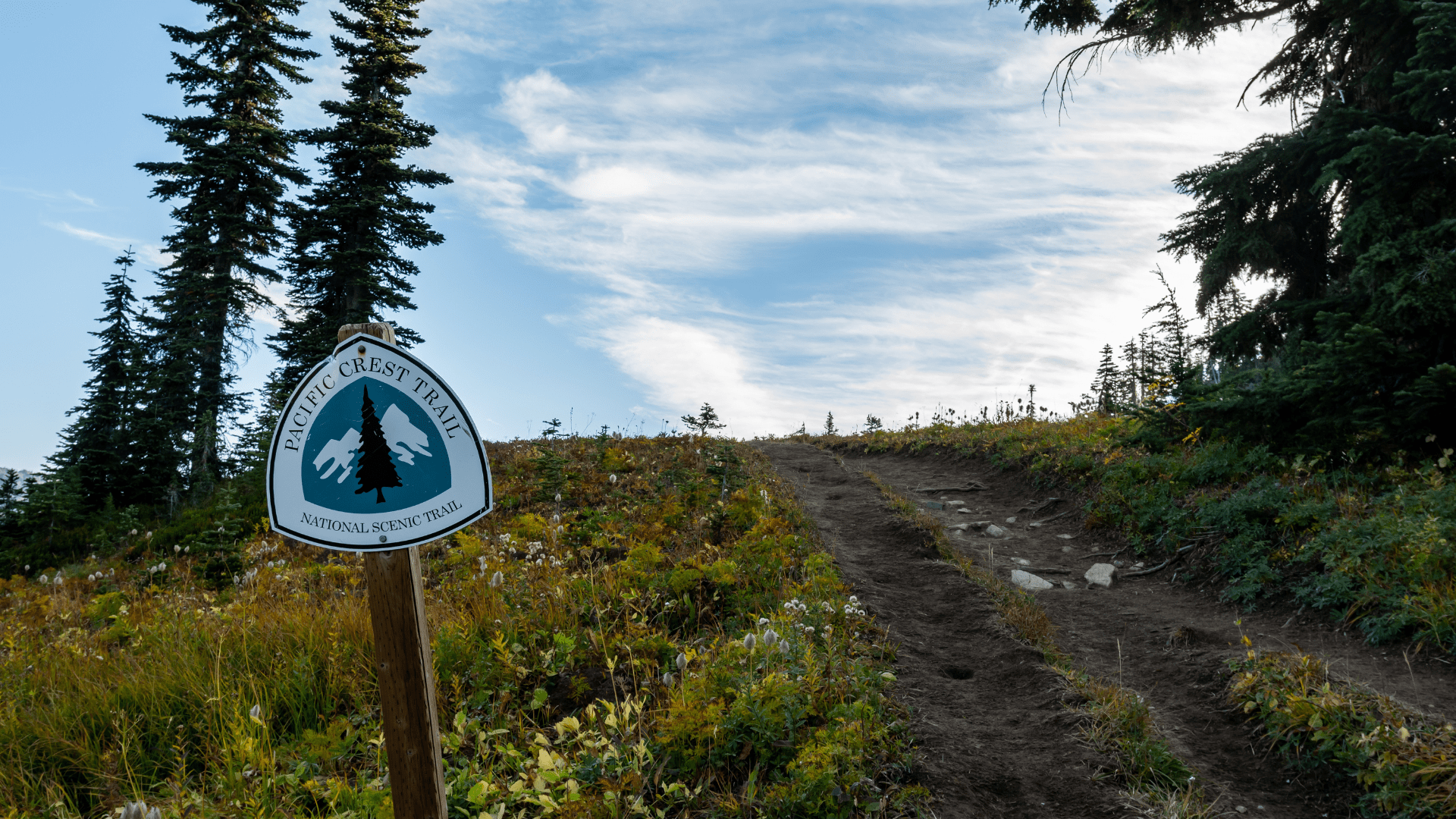 Pacific crest trail marker
