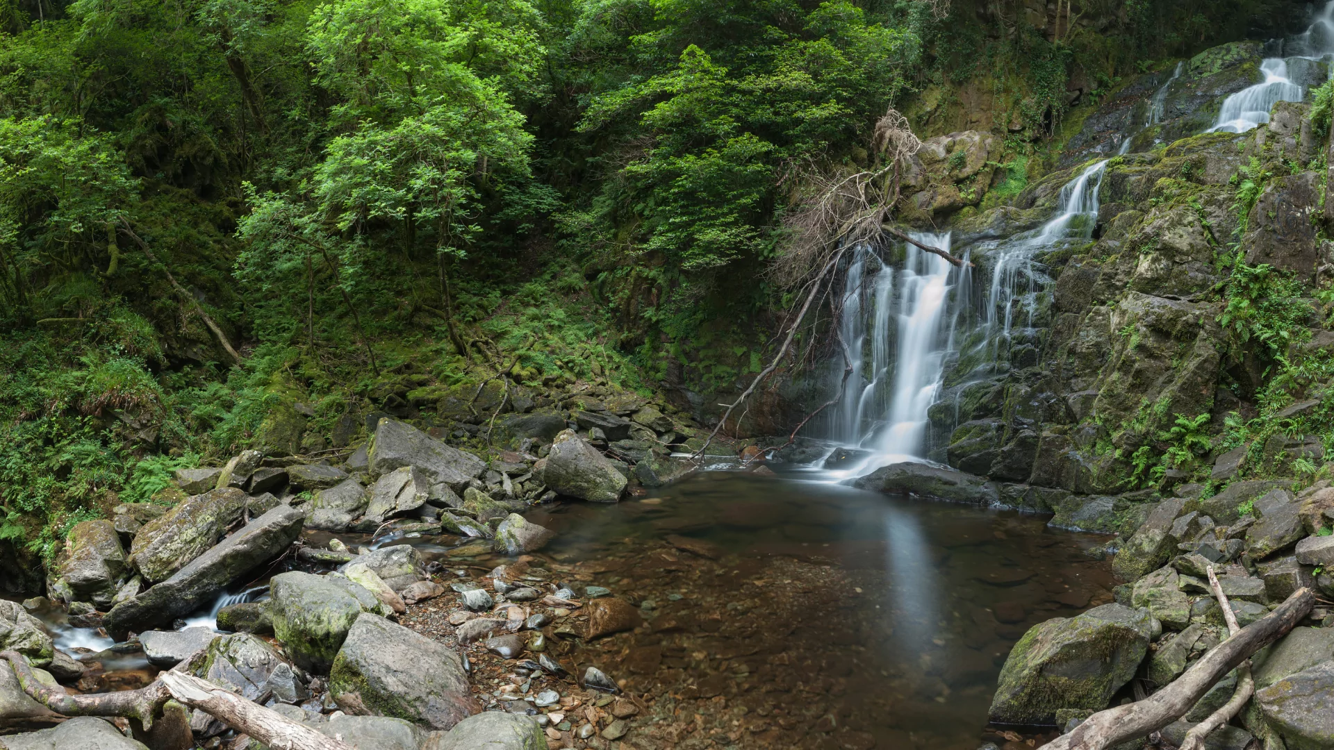 Torc Waterfall Loop Trail, Killarney National Park Ireland