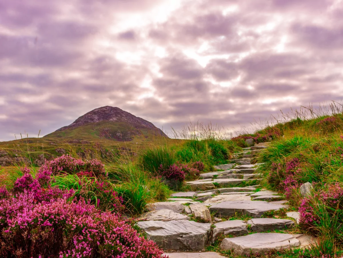 Hiking Ireland: Best Irish Hiking Trails - Wildland Trekking