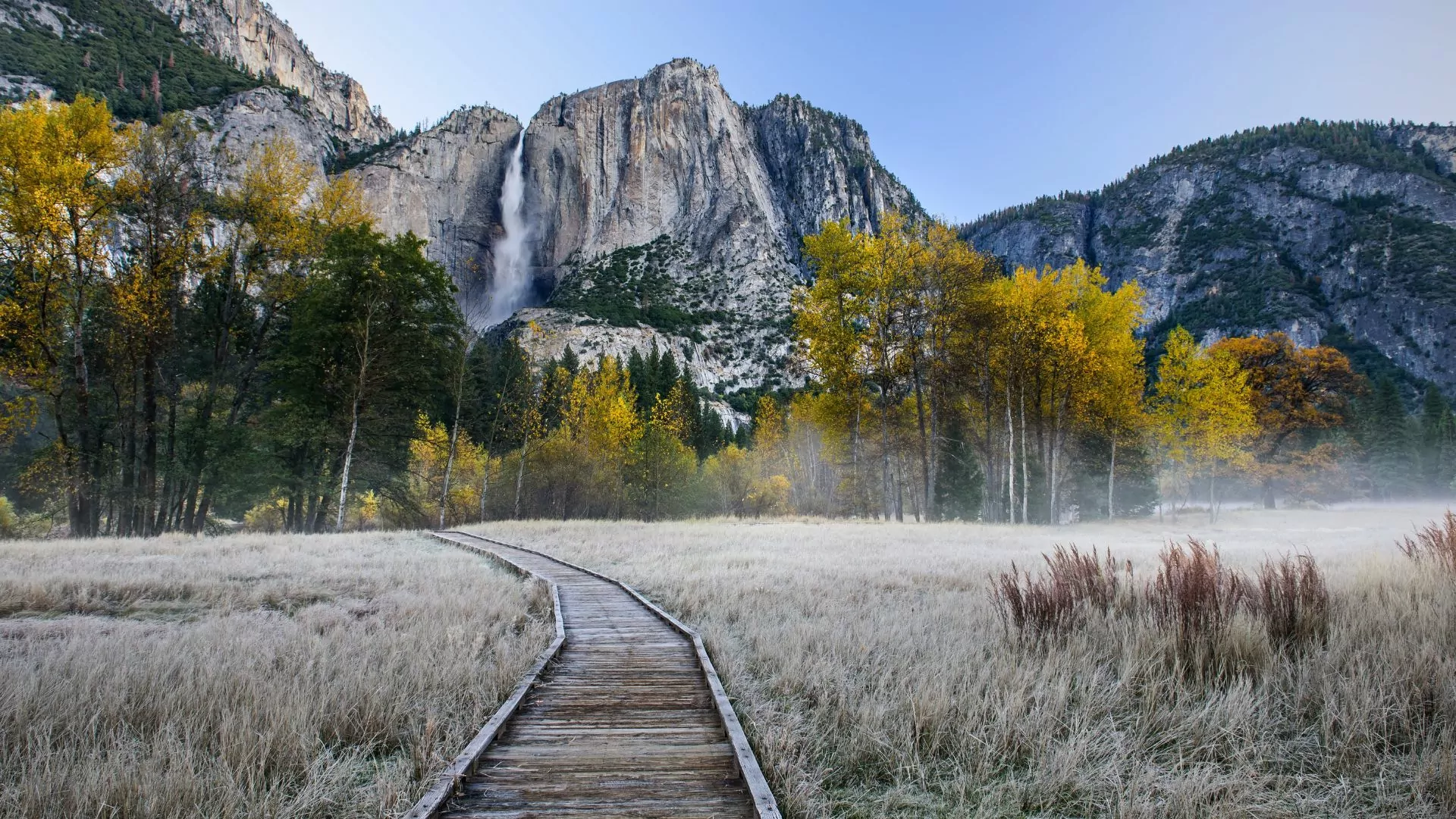 Yosemite meadow boardwalk in the morning