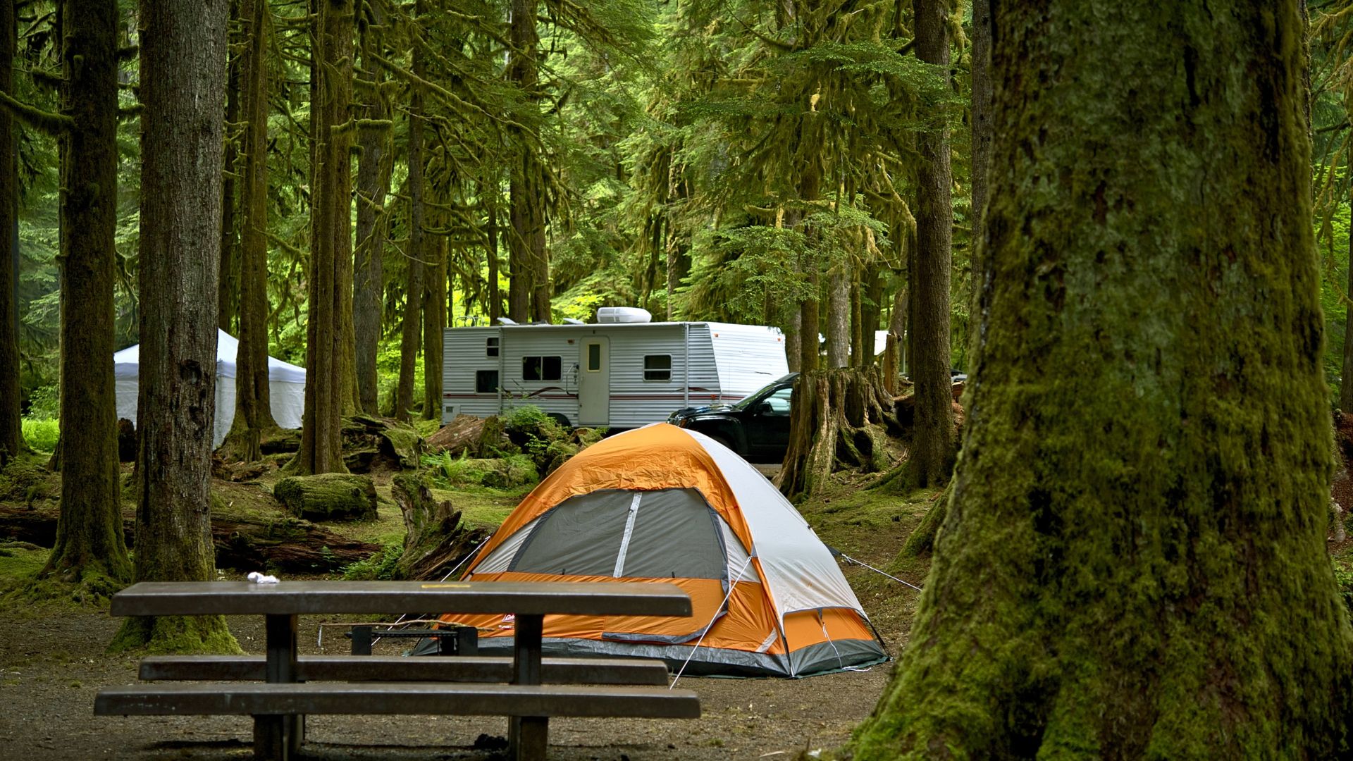 A tent and picnic table sit in a forested campground with an RV in the background