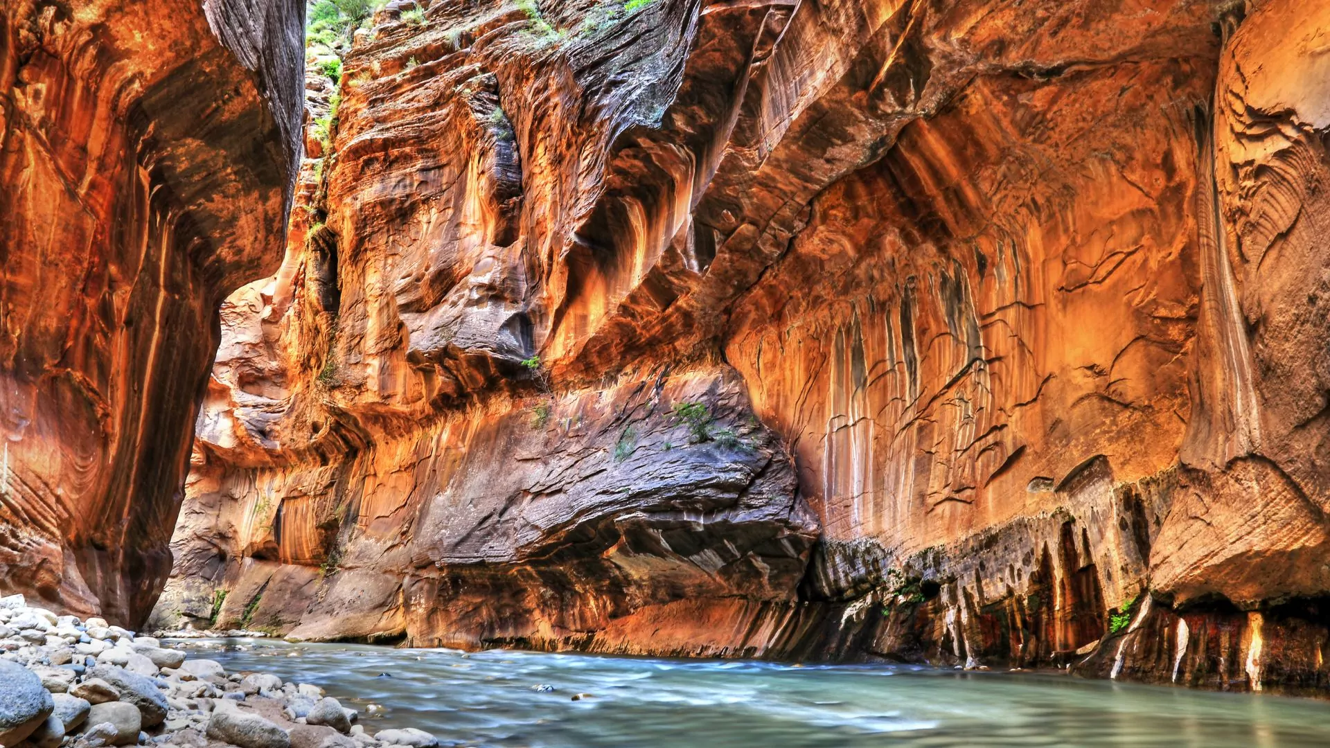 The Virgin River winds between high red sandstone walls