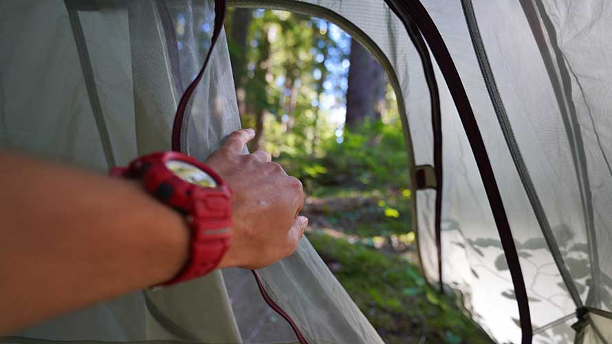 Wildland Trekking guest looking out of her tent in Olympic National Park