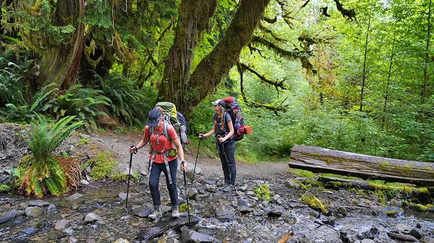 Two women hikers along a pristine creek in Olympic National Park