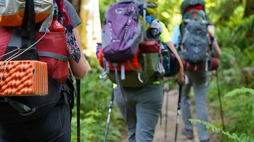 Wildland Trekking guests hiking in Olympic National Park