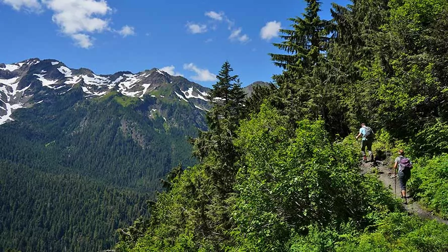 Hiking up to Anderson Pass in Olympic National park