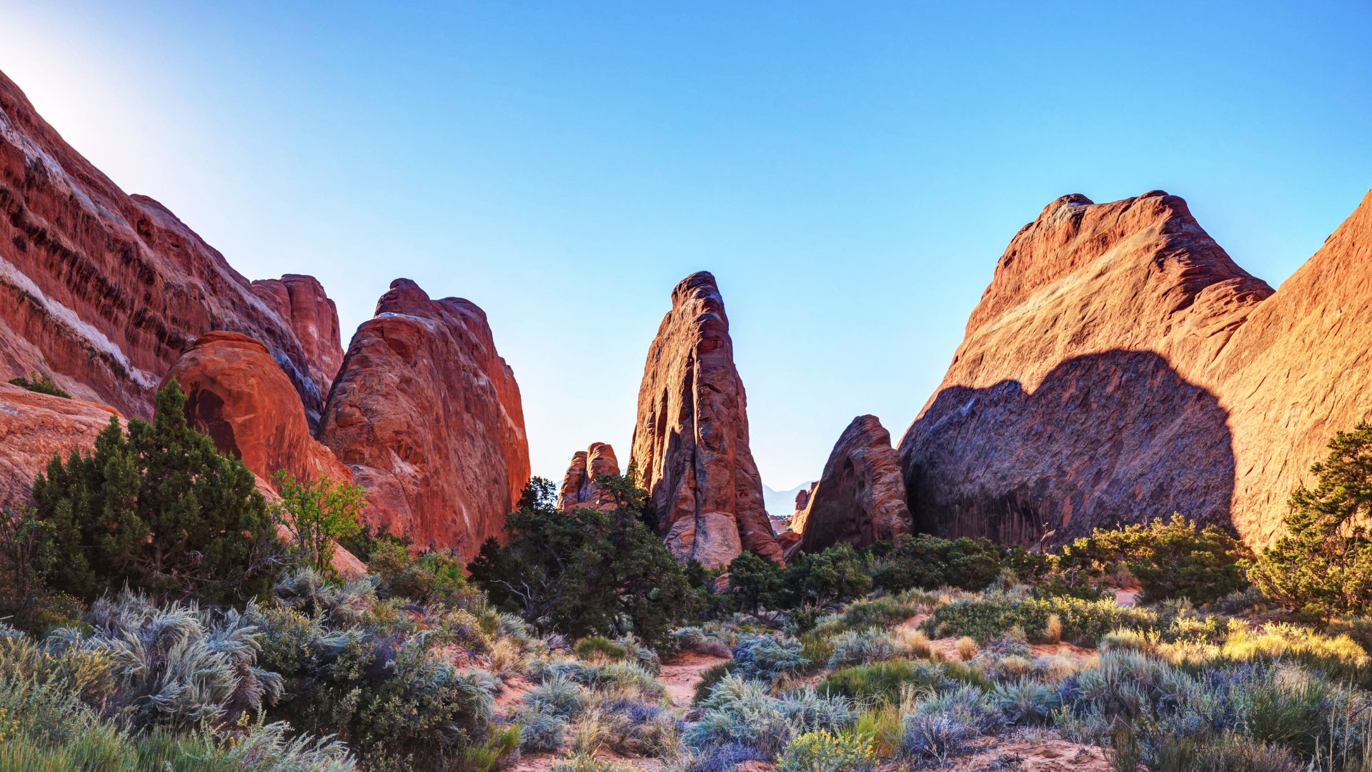 The red rock formations of Devils Garden in Arches National Park are bathed in sunset glow