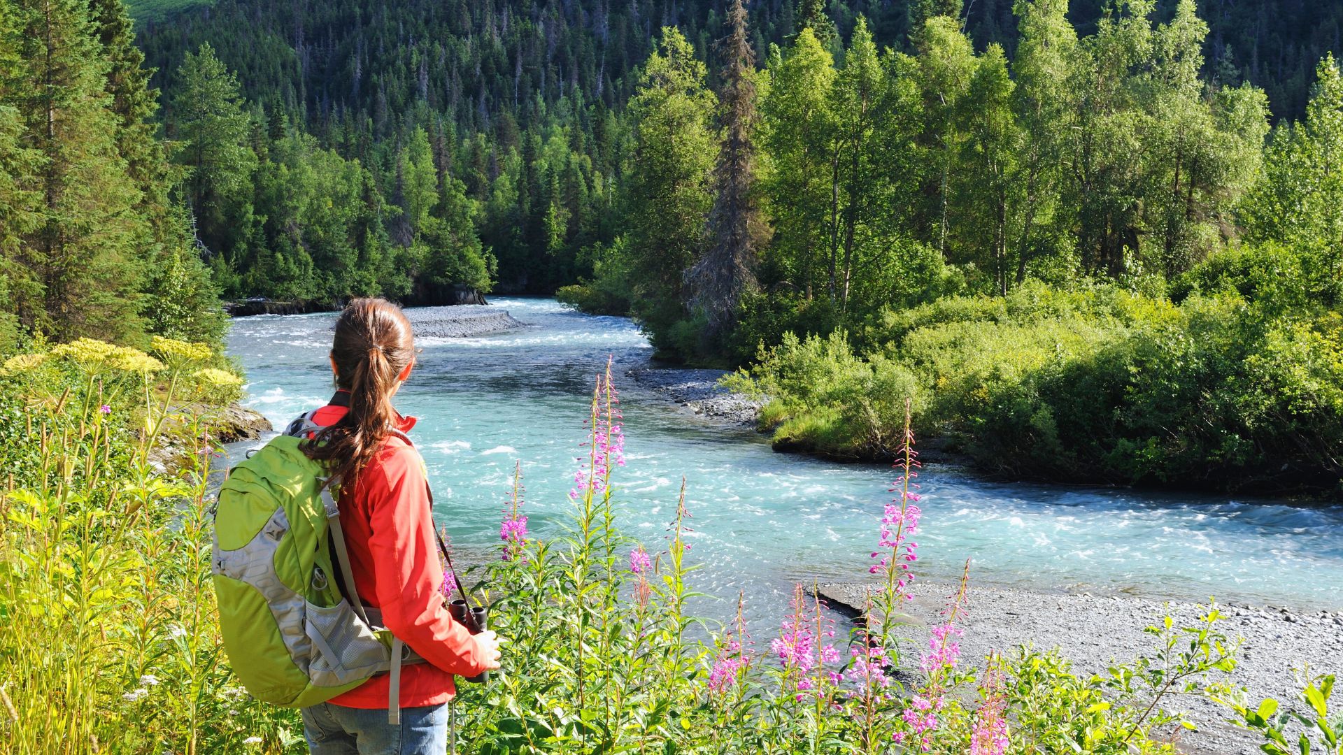 A hiker stands beside a glacial river in Alaska surrounded by wildflowers and greenery