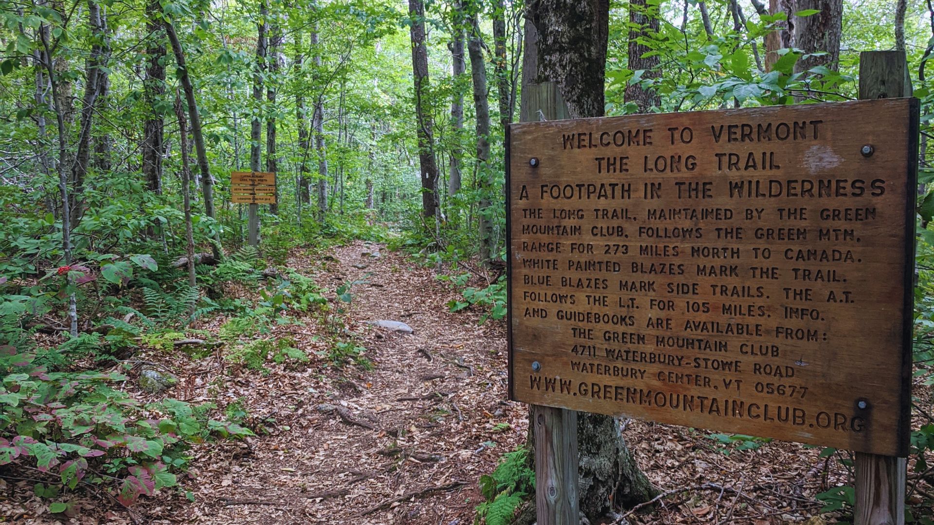 A sign for the Long Trail stands in a leafy green Vermont forest