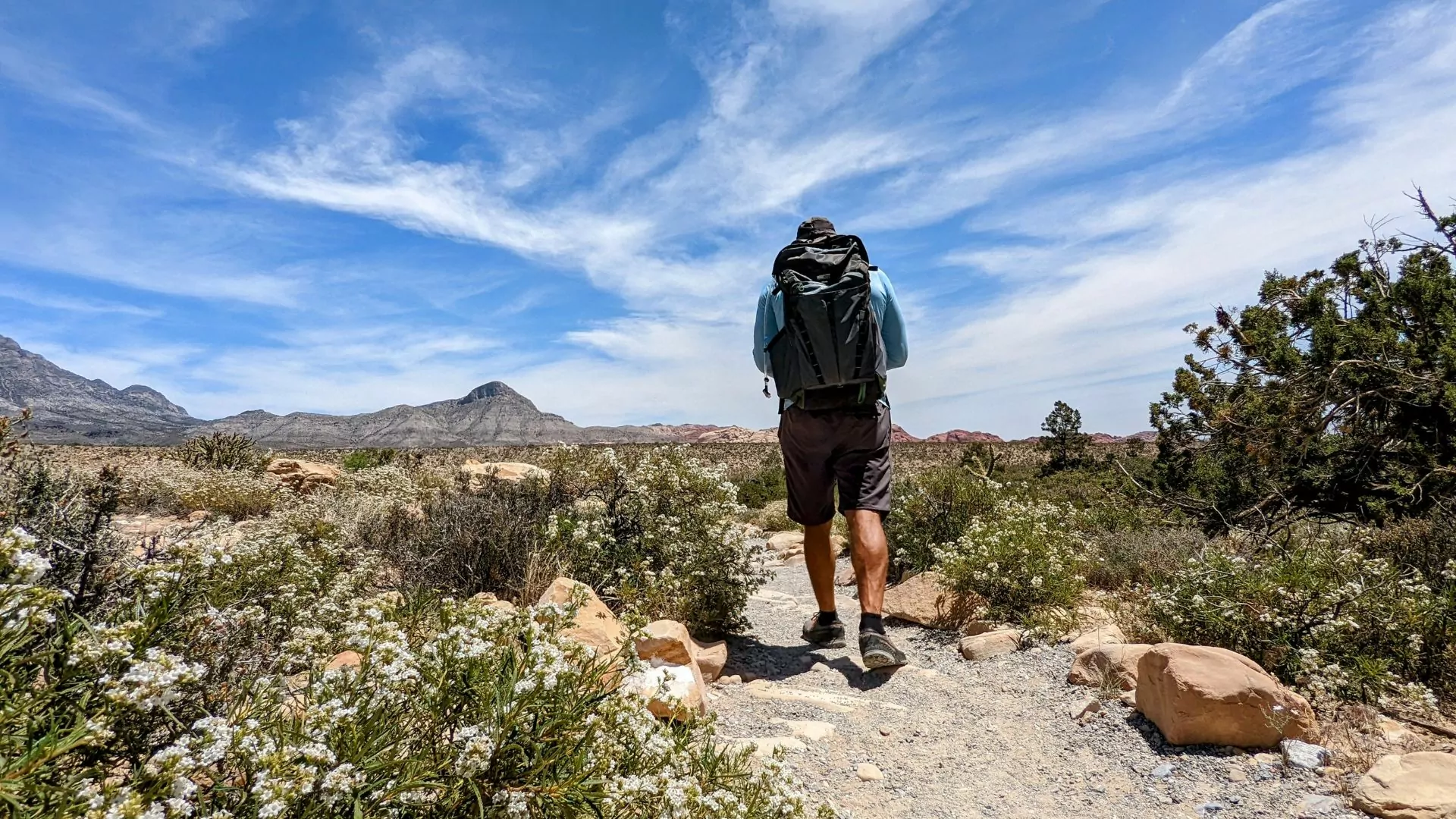 A hiker with a daypack on heads down the trail into the desert