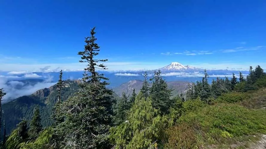 Alpine view of Mount Rainier from Goat Rocks Wilderness