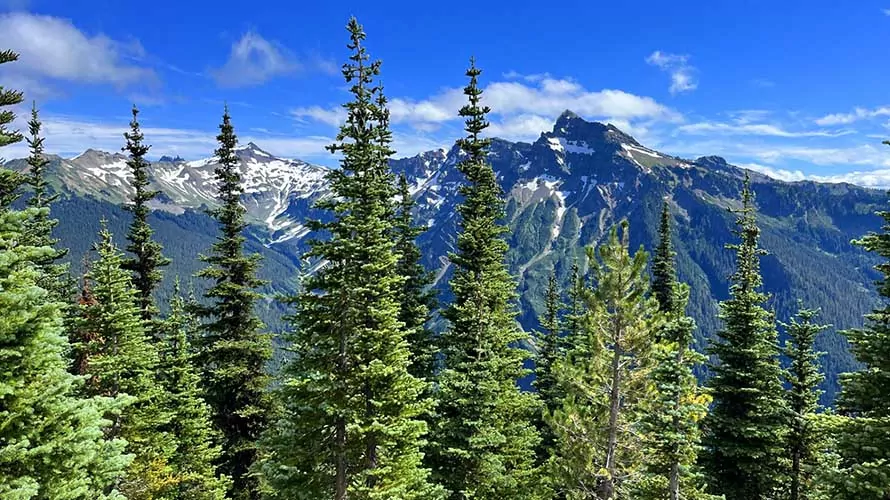 Snow-capped peaks in the Goat Rocks Wilderness