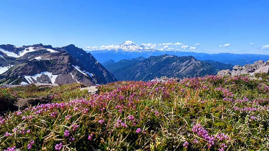 View of Mount Rainier from the Knife Ridge in Goat Rocks Wilderness