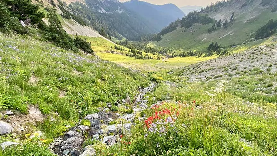 Beautiful creek flowing into lush valley in the Goat Rocks Wilderness
