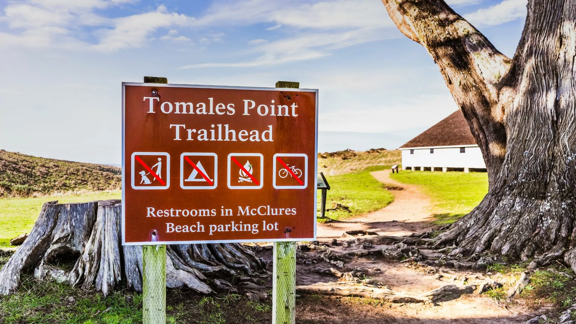 A sign marks the Tomales Point Trailhead at Point Reyes National Seashore