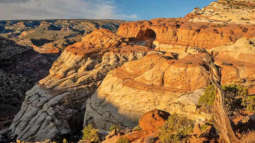 Cassidy Arch High Over The Grand Wash Below in Capitol Reef National Park