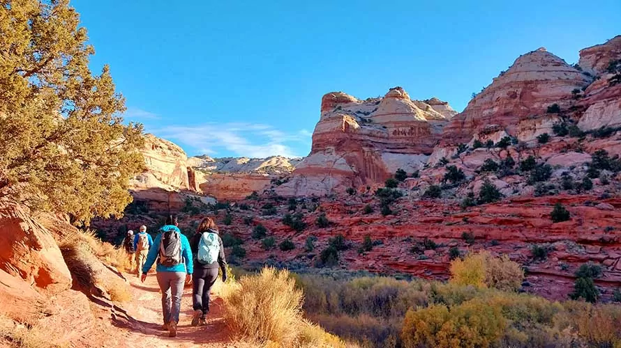 Wildland Trekking guests hiking to Calf Creek Falls in the Grand Staircase-Escalante National Monument