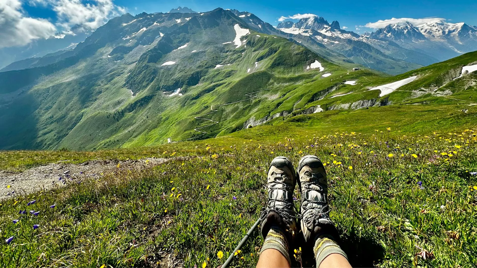 A pair of hiking boots and a trekking pole stretch out in front of a view of the Alps