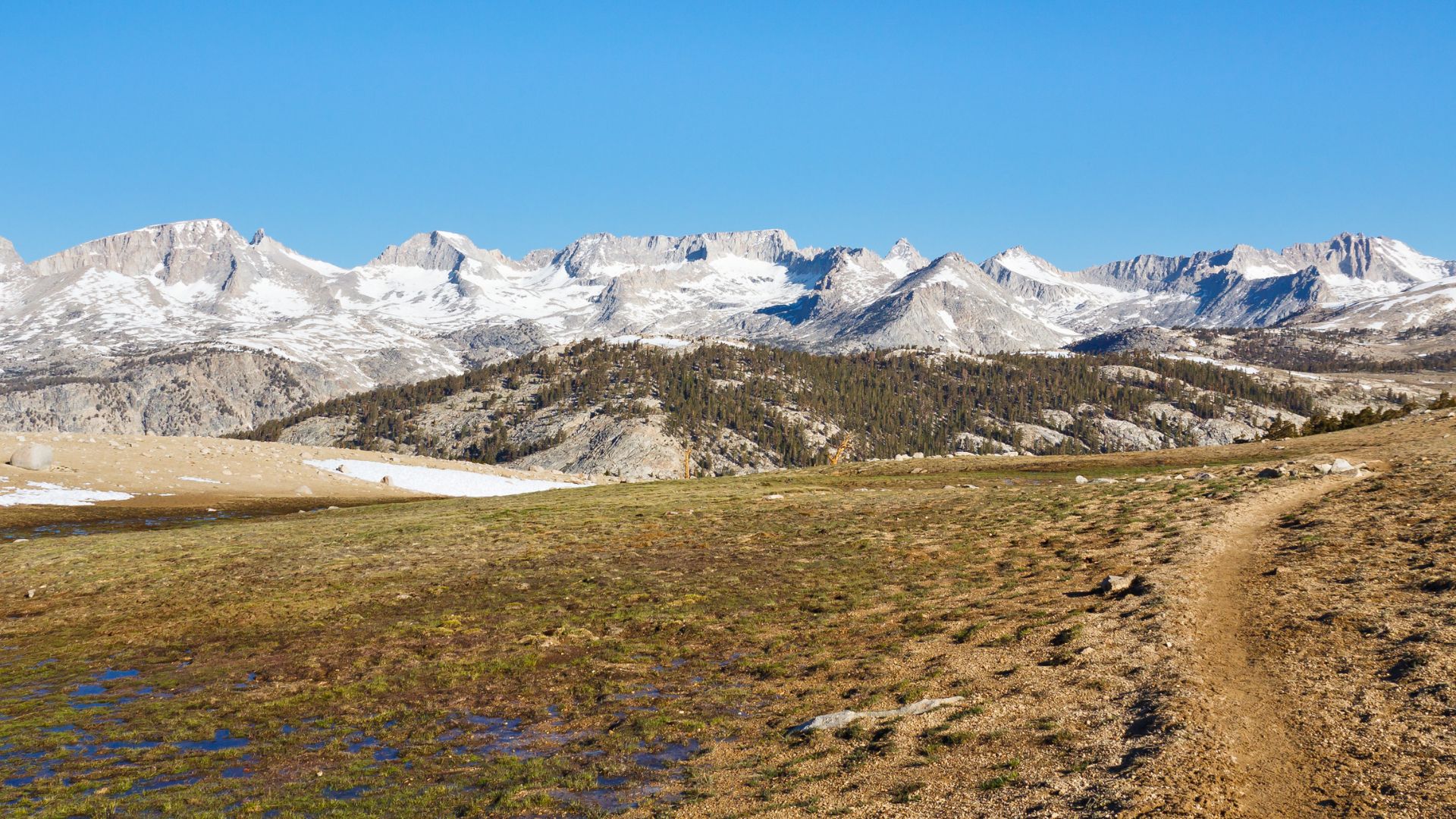 Snowy mountains rise in the distance as a trail passes though soggy spring thawed ground