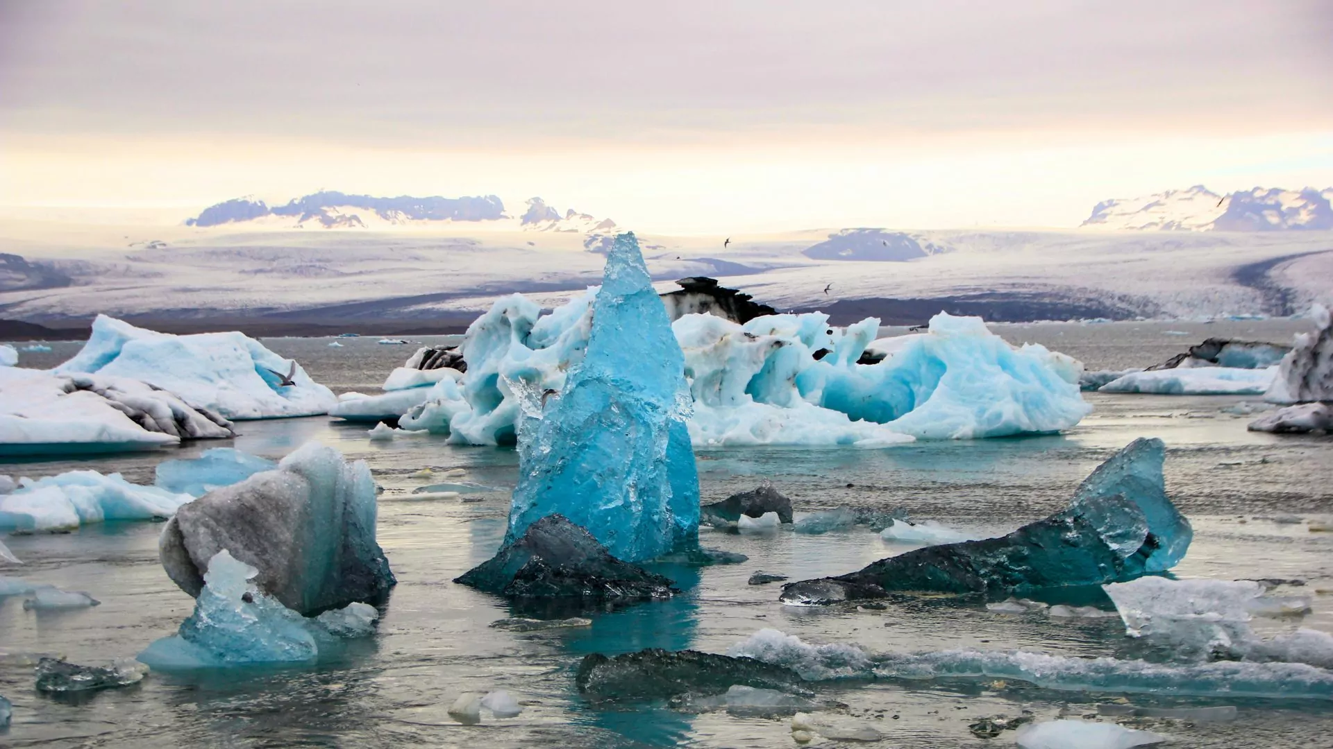 Icebergs float in a glacial lagoon in Iceland's Vatnajökull National Park