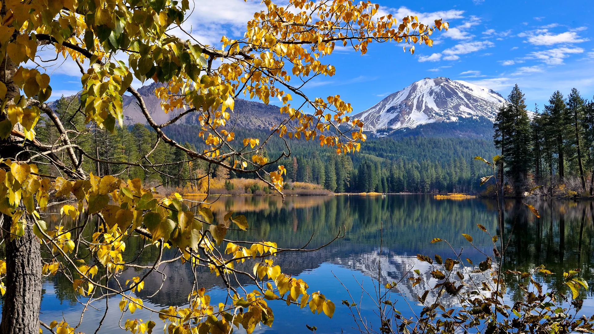 Autumn leaves frame a lake in the foreground with a mountain rising behind