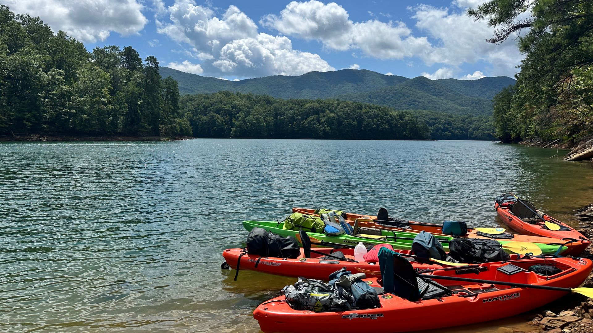 Four kayaks are pulled up on the wooded shoreline of a lake