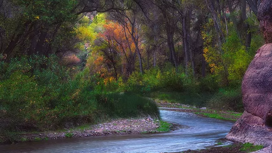 An idyllic landscape with trees adorned with vibrant autumn foliage in Aravaipa Canyon