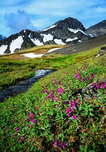 Summer landscape at the summit of Alaska's popular Crow Pass Trail.
