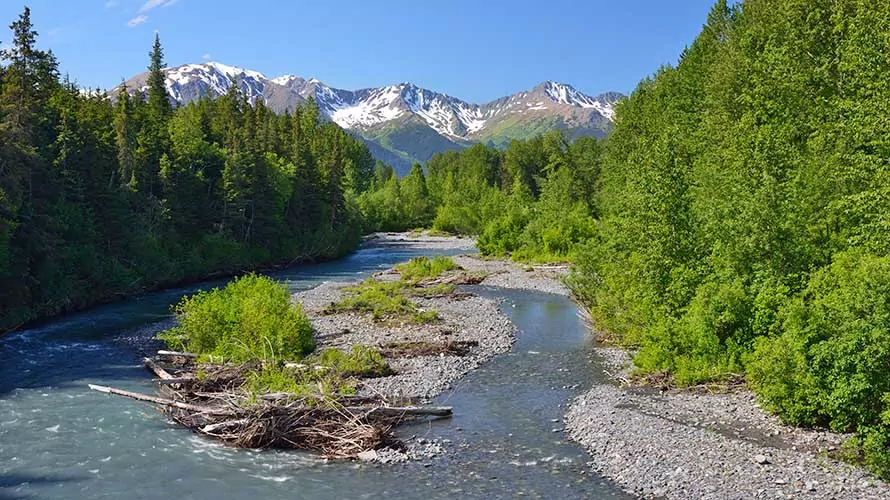 Scenic creek and mountains in Chugach State Park in Summer, Alaska, USA