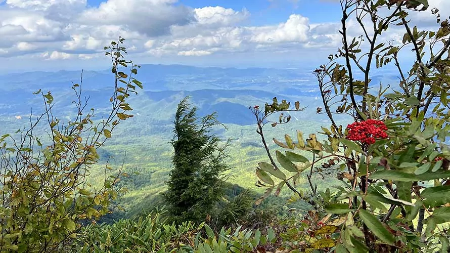 Gorgeous view of the Smoky Mountains